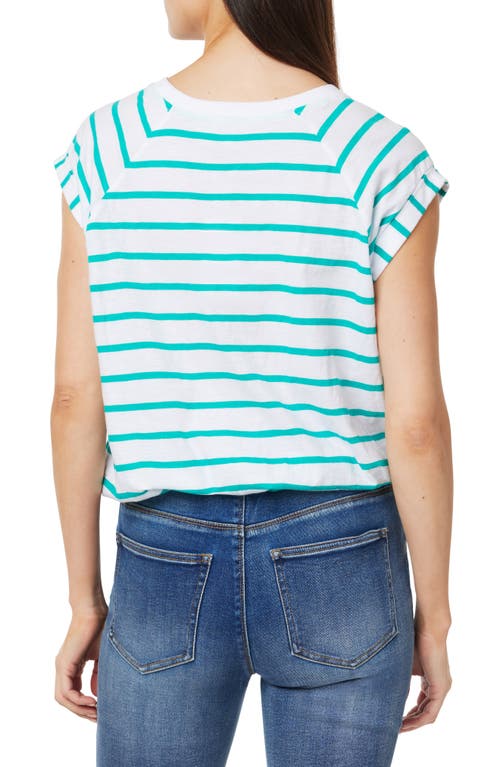 Curve Appeal Cap Sleeve Cotton T-shirt In Spectra Green Stripe