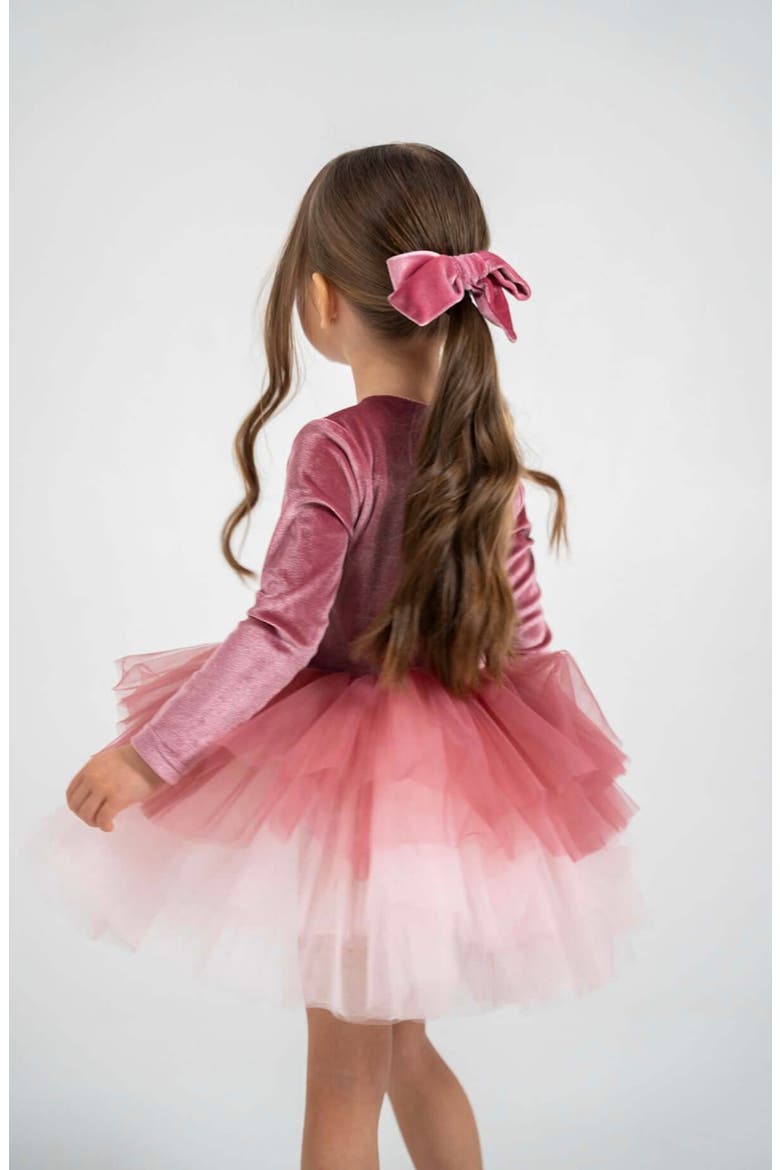 Luna Long Sleeve Velvet Tutu Dress, Alternate, color, Dusty Rose