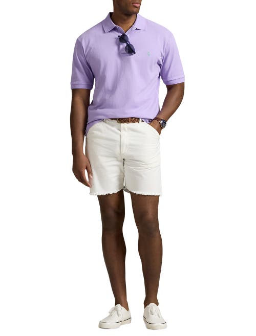 Polo Ralph Lauren Cotton Polo Shirt In Purple