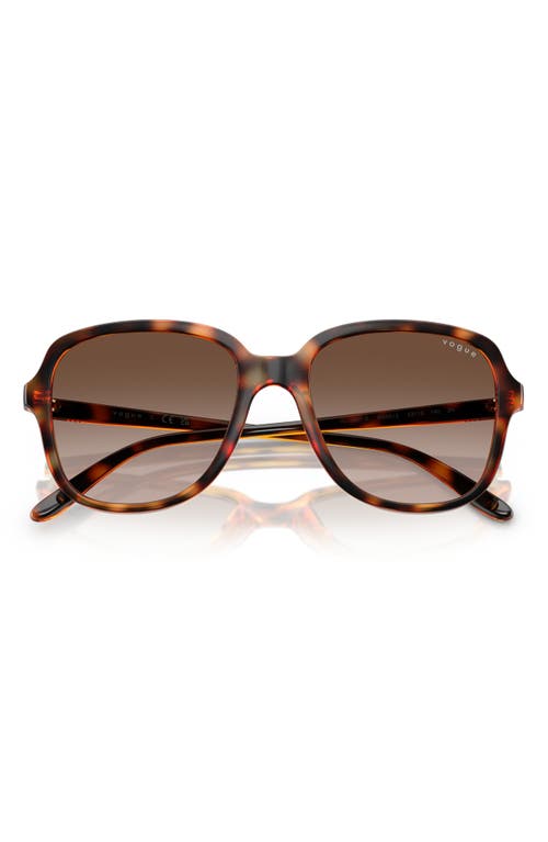 Vogue 53mm Polarized Square Sunglasses In Dark Havana