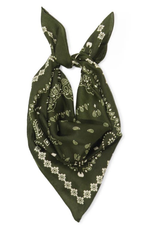 Petit Moments Soho Scarf in Green at Nordstrom