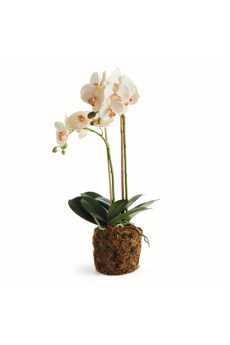 Phalaenopsis Orchid Artificial Plant Drop-In, Main, color, Pink