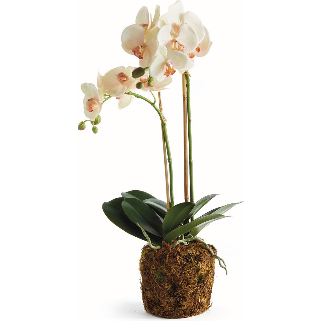 Napa Home & Garden Phalaenopsis Orchid Artificial Plant Drop-in In Pink