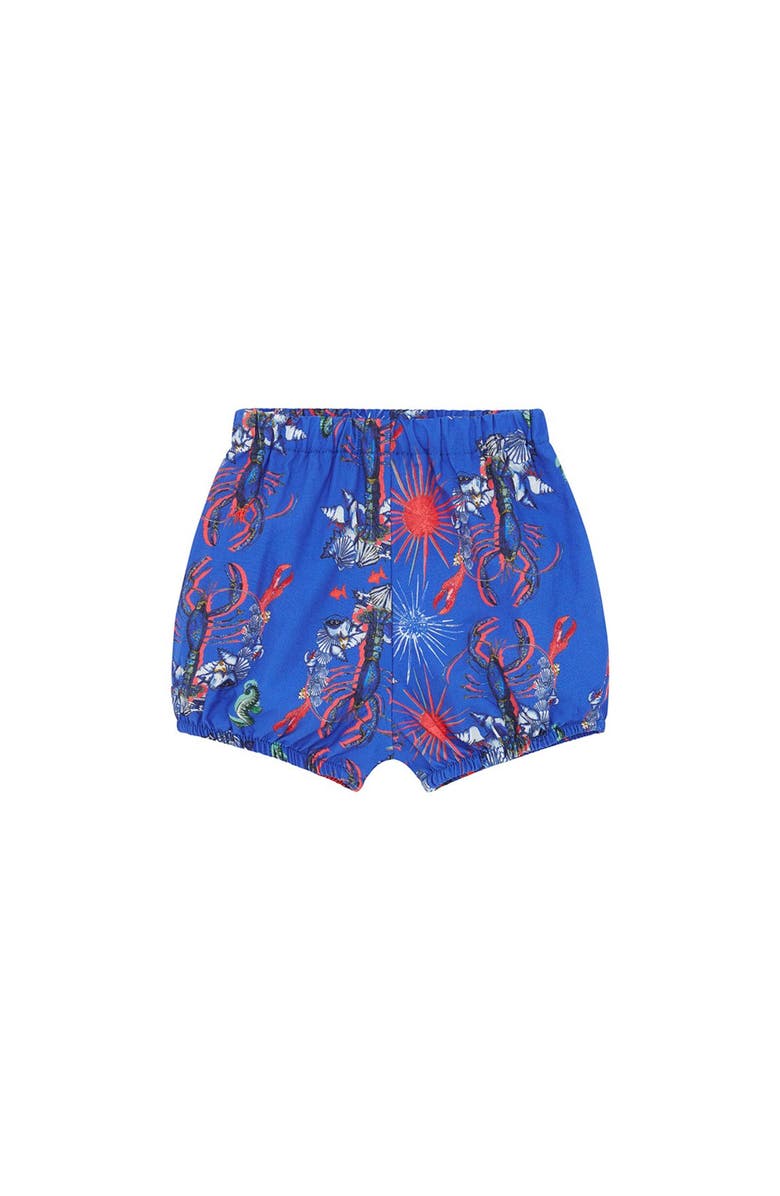 Vild House of Little Vild Lab No.8 - Rare Living Lobsters, Organic Cotton Bloomer Shorts, Main, color, Lobster Print