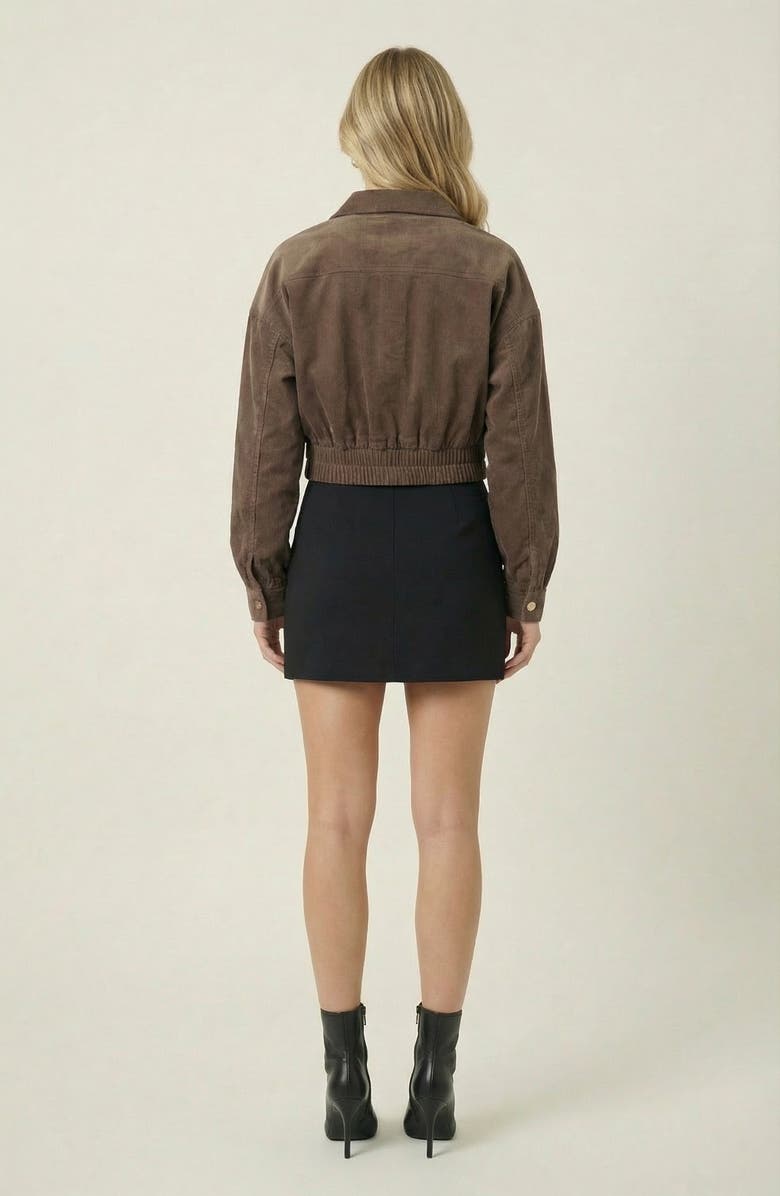 Modenaire Cropped Collared Button-Up Stretch Hem Jacket, Alternate, color, Brown