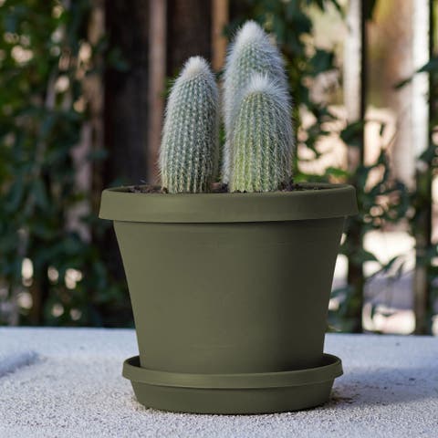12 Inch Terra Pot Planter, Living Green