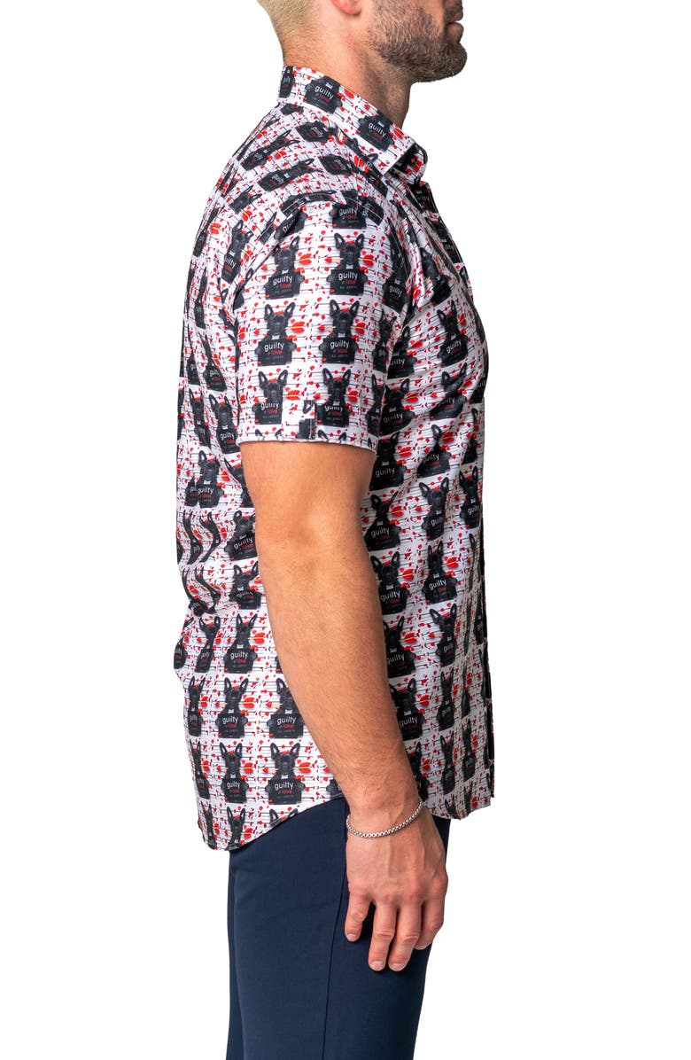 Maceoo Galileo Guilty Dog Regular Fit Short Sleeve Button-Up Shirt, Alternate, color, White