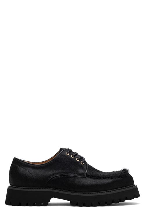 Marc Nolan Luca Genuine Calf Hair Lug Sole Derby