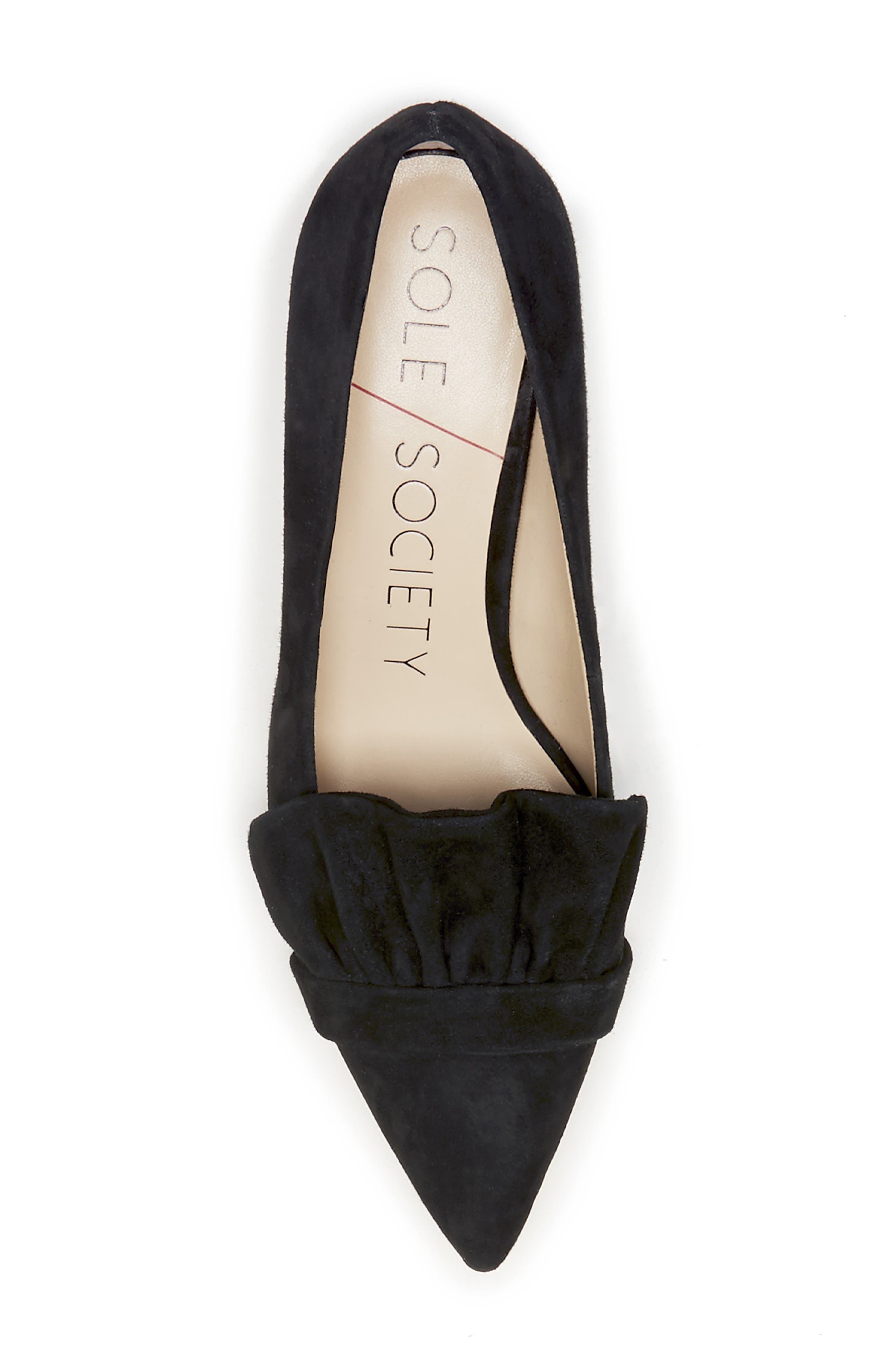 Sole Society Darbia Ruffle Pointy Toe Pump, Alternate, color, 