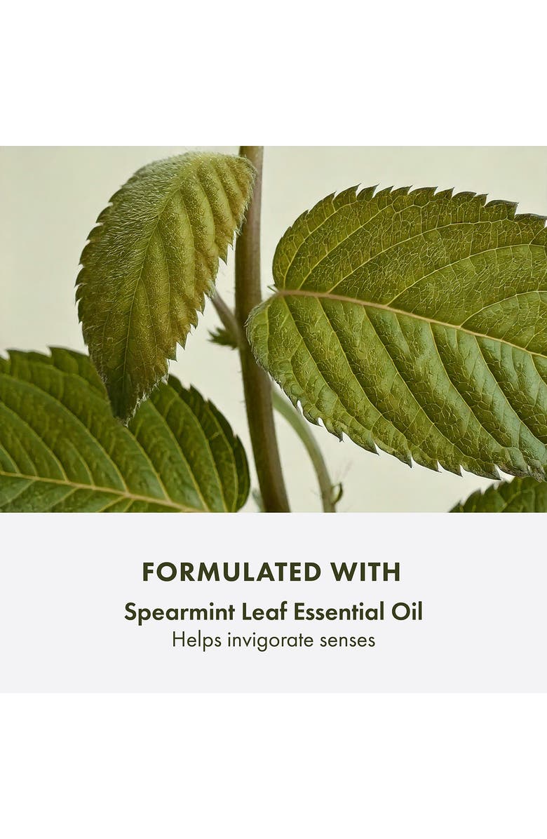 Origins Checks and Balances<sup>™</sup> Frothy Face Wash, Alternate, color,