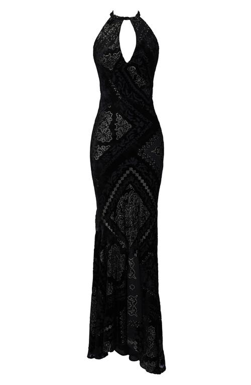 House Of Cb Womens Black & Gold Oliviana Halterneck Velvet Maxi Dress In Black