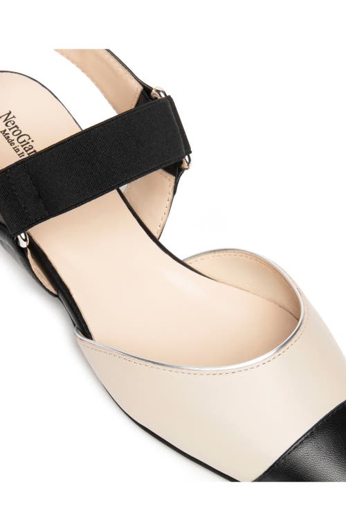 Nerogiardini Pointed Toe Flat