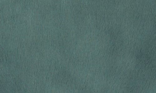 Nordstrom Rack Faux Fur Throw Blanket In Green