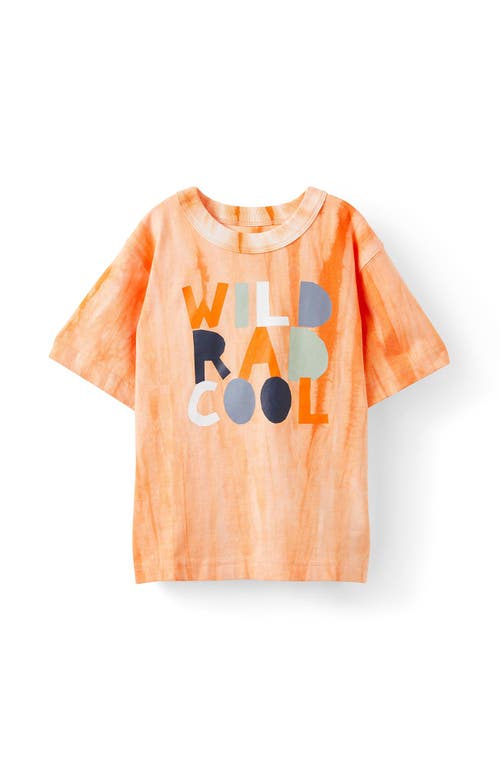 Cotton On Kids Kid's Jonny Short Sleeve Graphic Print Tee In Melon Pop Tie Dye Wild, Rad,