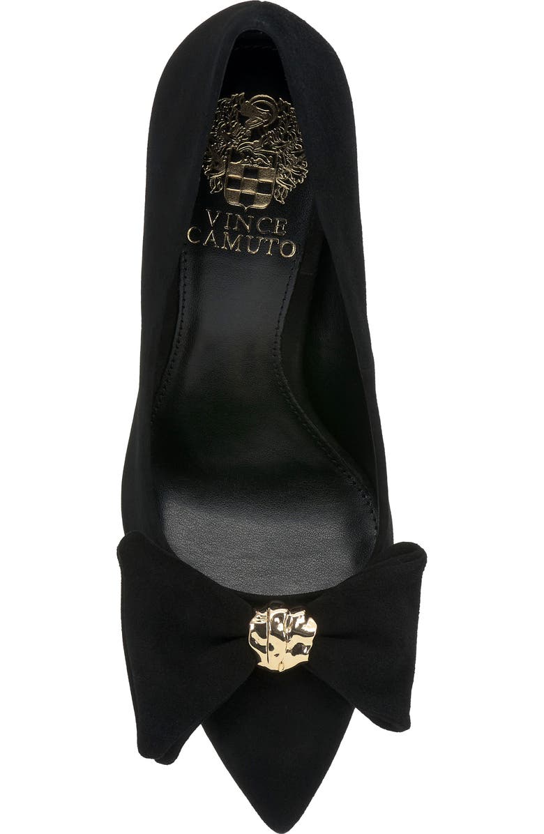 Vince Camuto Haylez Pointed Toe Pump, Alternate, color, Black