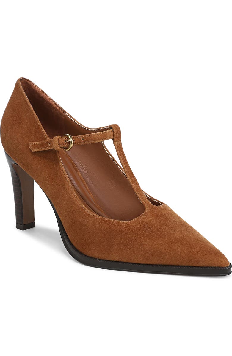 SARTO by Franco Sarto Atley T-Strap Pointed Toe Pump, Main, color, Saddle Brown