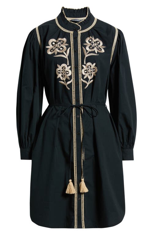 Julia Jordan Embroidered Shirtdress In Blue
