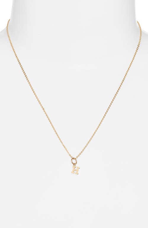 Nashelle Initial Pendant Necklace In Gold Fill - H