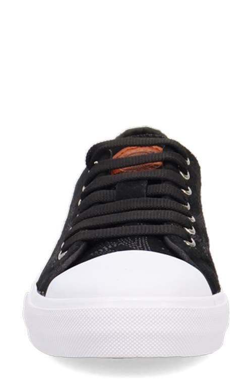 Dingo Campus Sneaker
