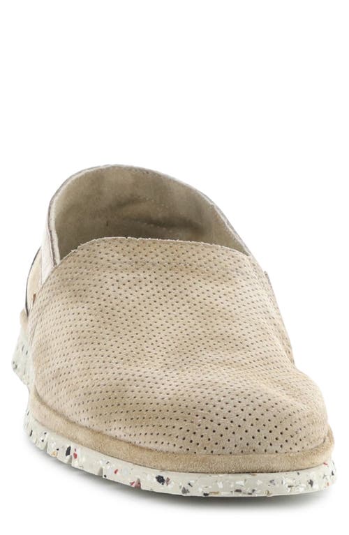 AMBITIOUS AMBITIOUS 11162 PERFORATED LOAFER