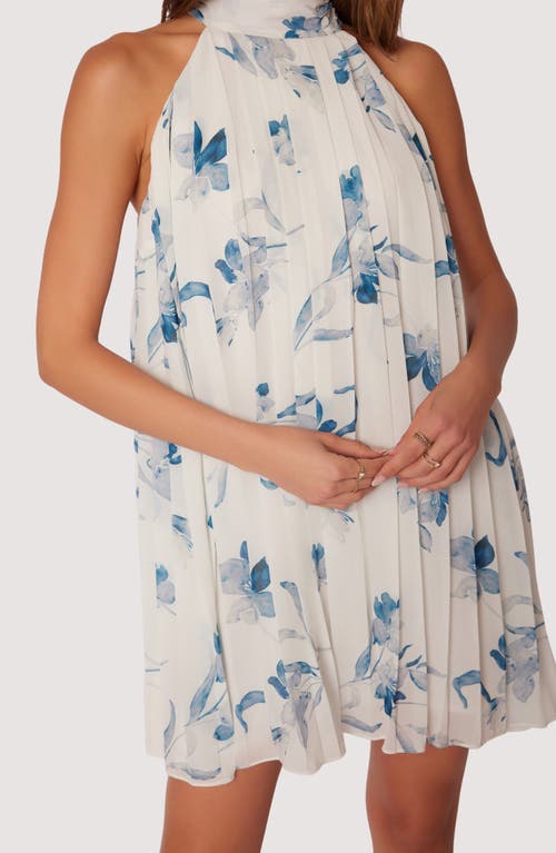 Lost + Wander Carolina Garden Pleated Trapese Minidress In Off-white-blue