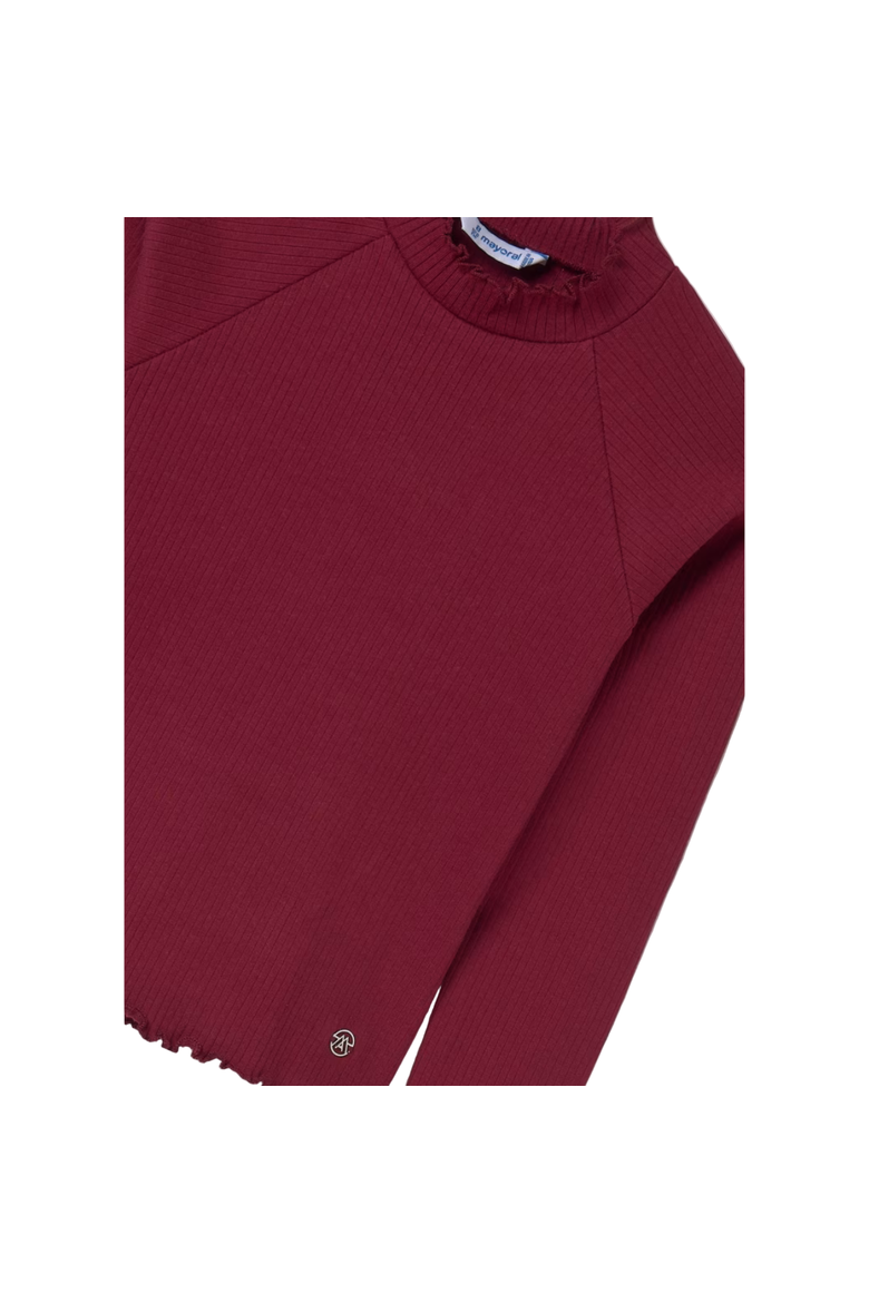 Ribbed Turtleneck, Alternate, color, Burgundy