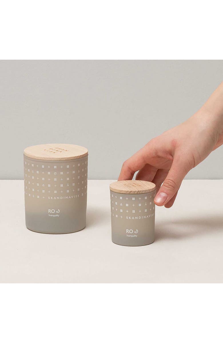 SKANDINAVISK RO Scented Candle 65g, Alternate, color, Grey