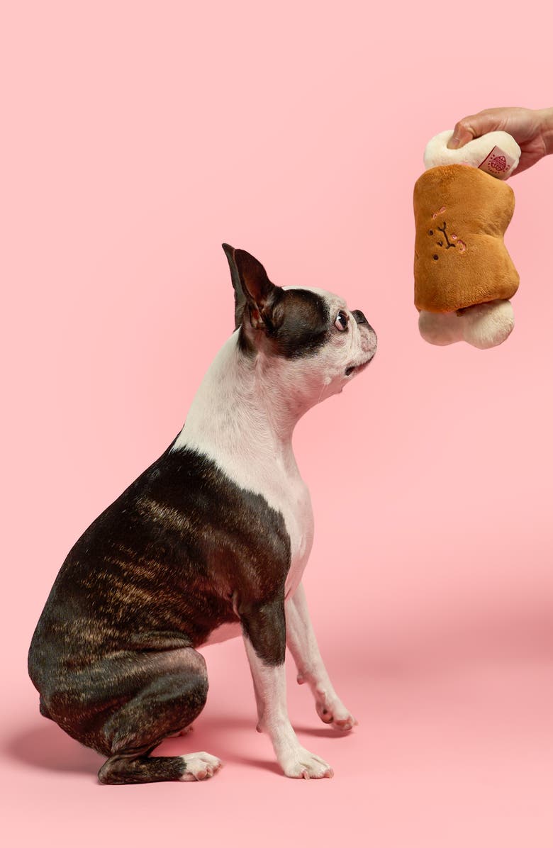 the furryfolks Bone Appetit Nosework Toy, Alternate, color, 