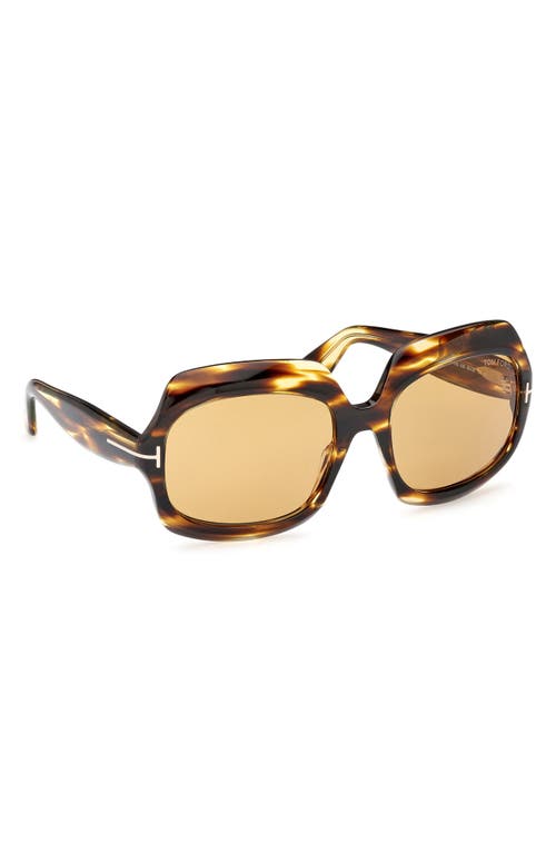 Tom Ford Ren 60mm Geometric Sunglasses In Brown
