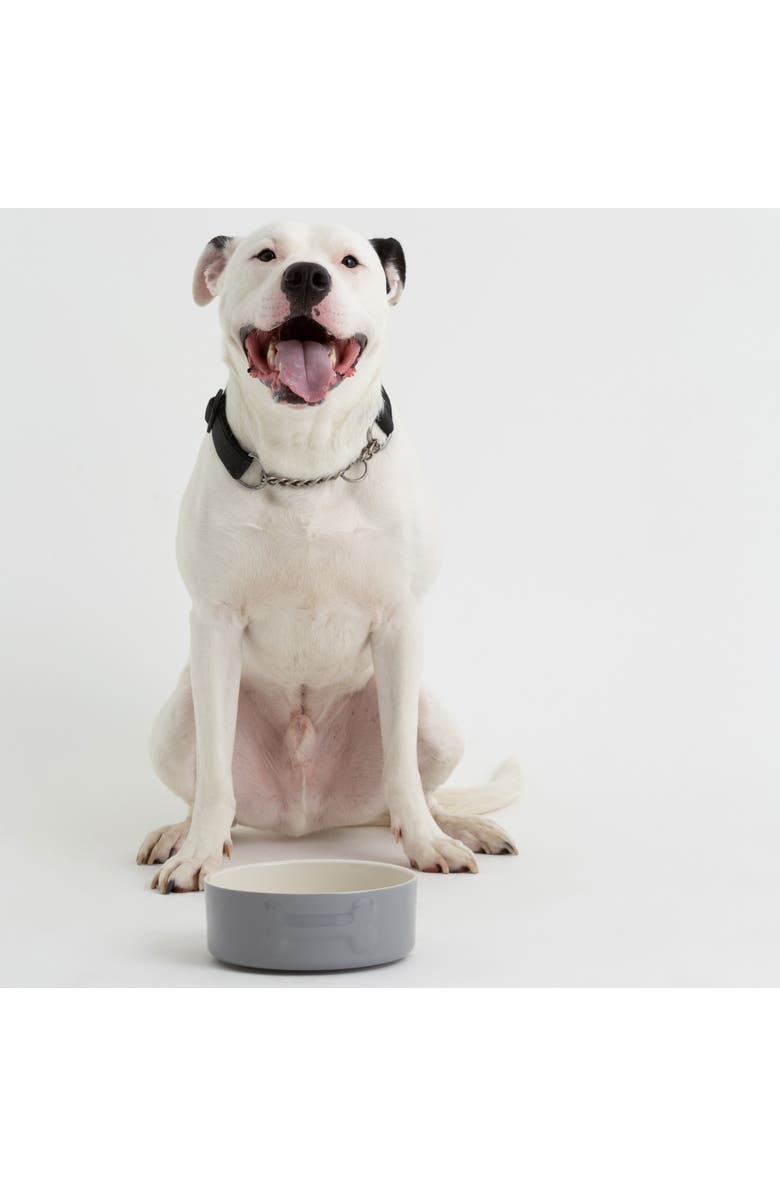 MASON CASH Embossed Bone Dog Bowl, 8 Inch, 50.7oz, Food and Water Dish, Alternate, color, Gray