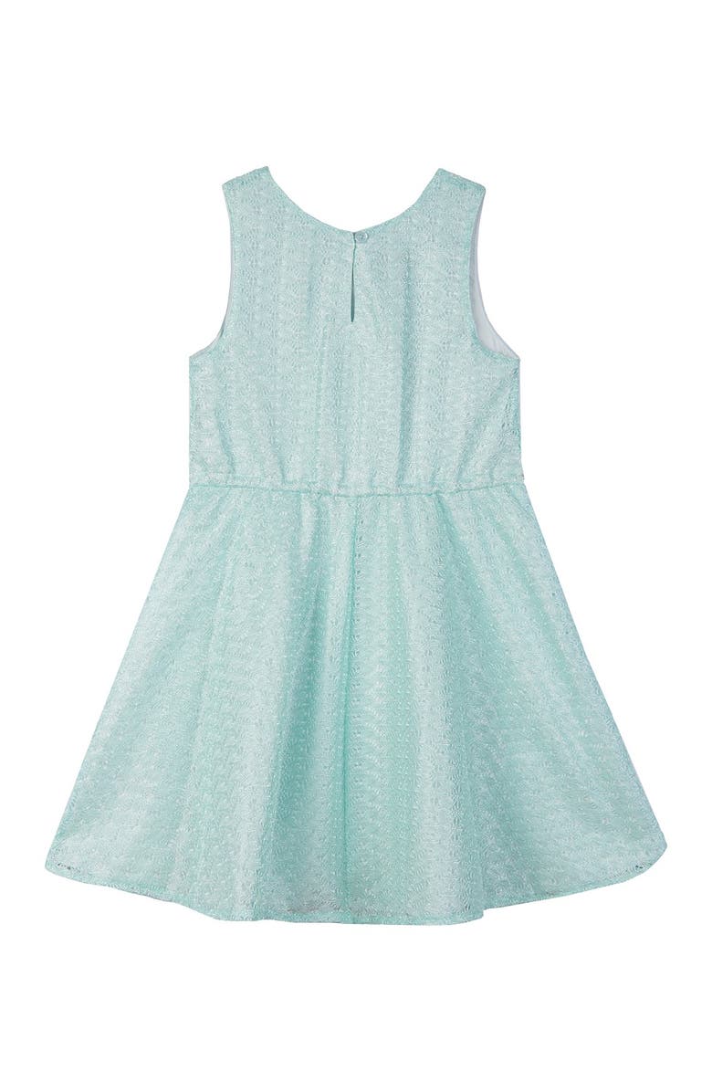 Badgley Mischka Collection Sleeveless Lace Dress, Alternate, color, 