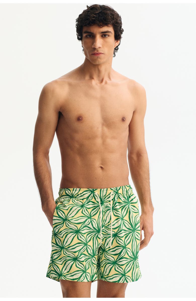H&M Patterned Swim Shorts, Main, color, Green/Patterned