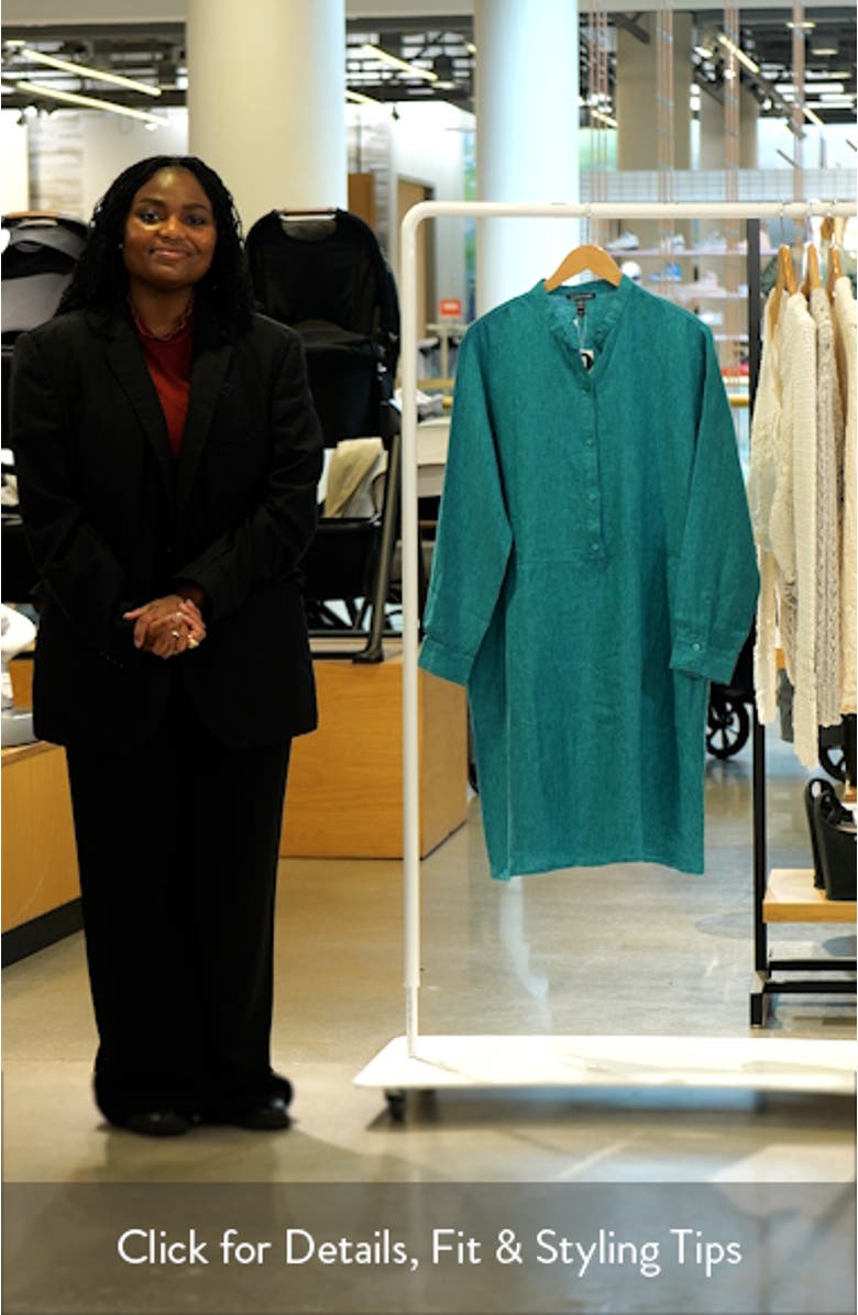 Long Sleeve Organic Linen Shift Shirtdress