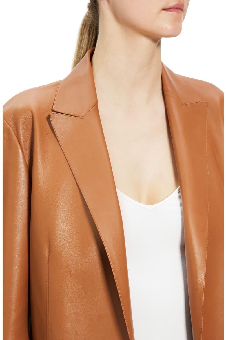 Relaxed Leather Jacket, Alternate, color, CHESTNUT