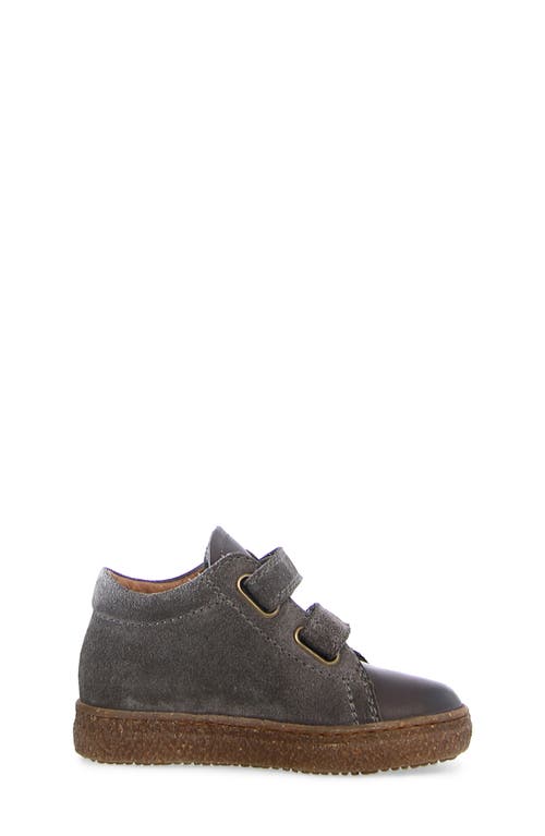 Shop Naturino Albus Star Sneaker In Anthracite/copper