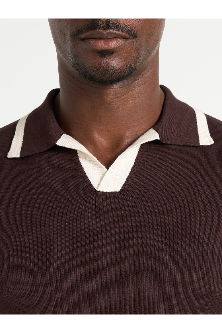 Lambert Contrast Detail Knit Polo, Alternate, color, Brown