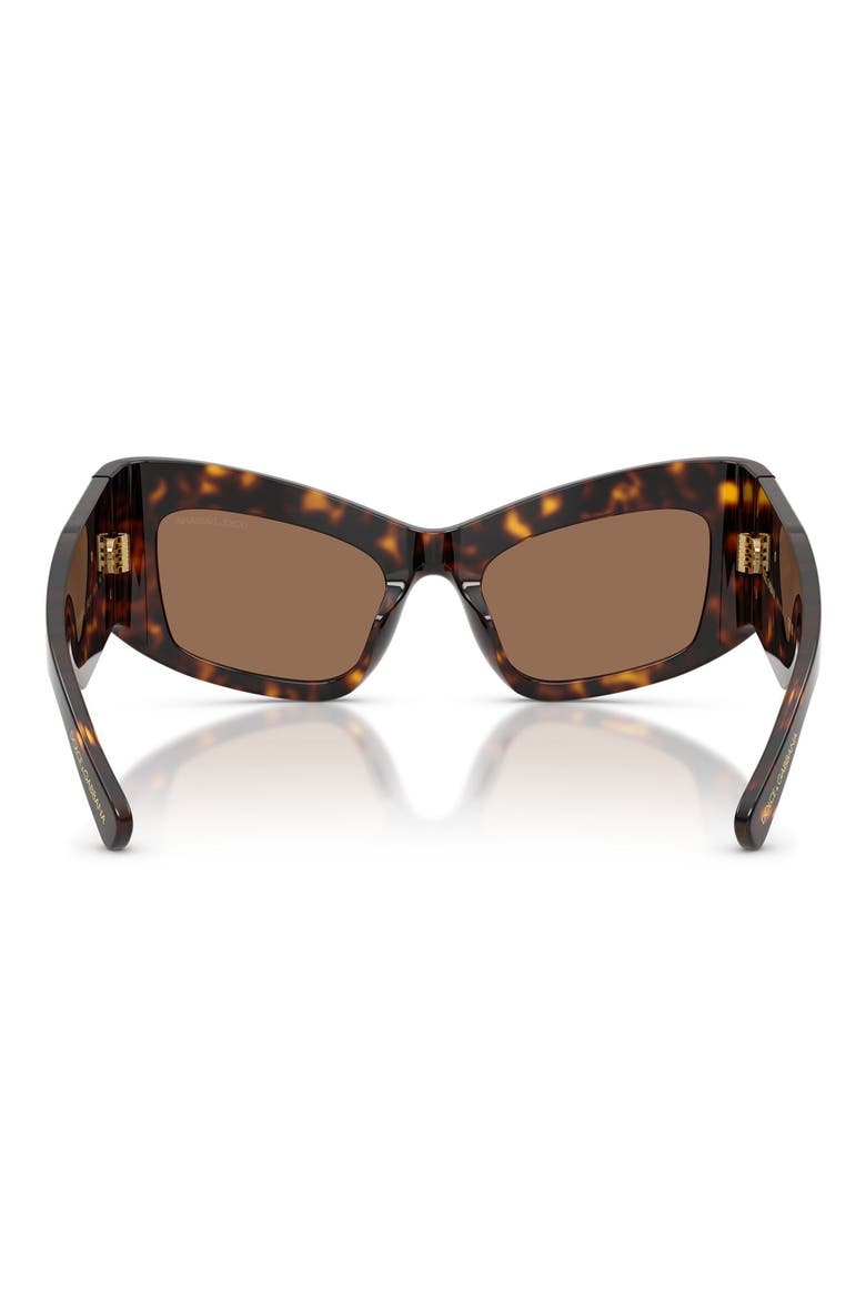 53mm Cat Eye Sunglasses, Alternate, color, HAVANA / DARK BROWN