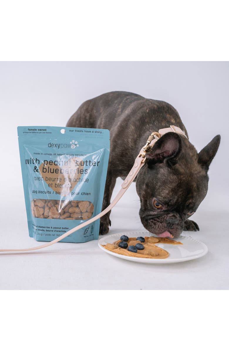 Dexypaws Peanut Butter & Blueberry Dog Biscuits 12oz, Alternate, color, 