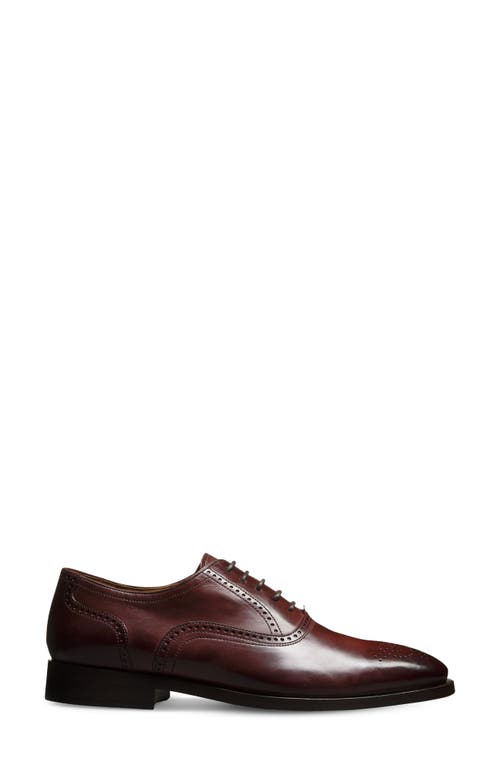 Allen Edmonds Siena Brogue Oxford
