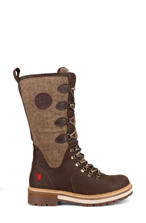 Santana Canada Chuska Waterproof Tall Boot In Dark Brown/tan
