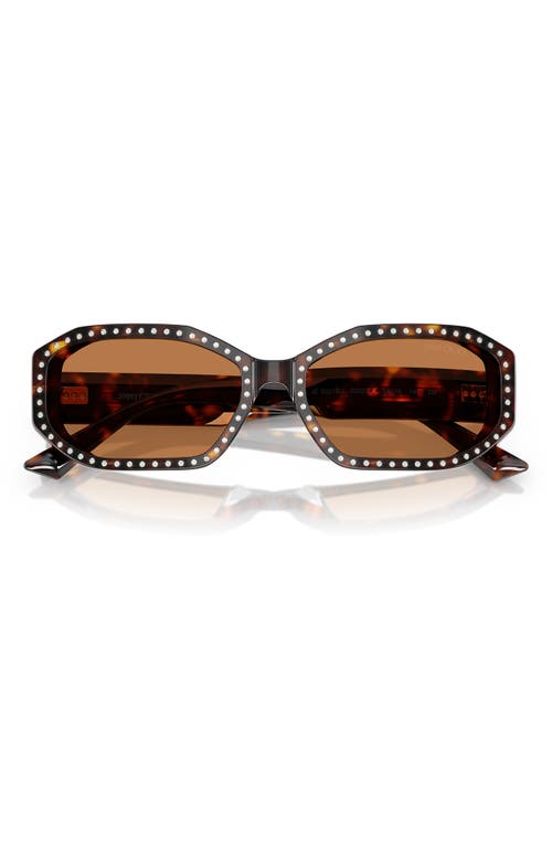 Jimmy Choo 56mm Oval Sunglasses In Brown