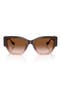  Brown Gradient / Brown