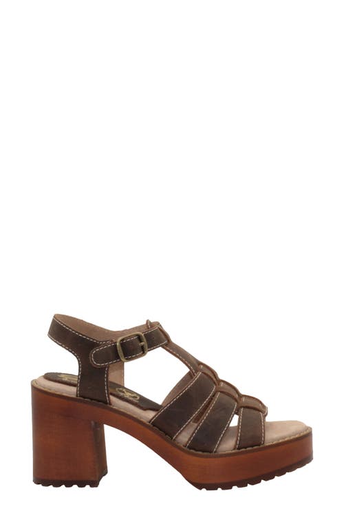 Sbicca Oakdale Clog Sandal In Brown