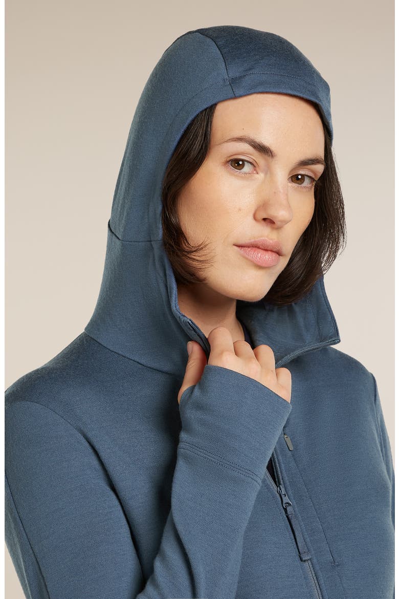 260 Quantum Merino Wool Hooded Jacket, Alternate, color, DAWN