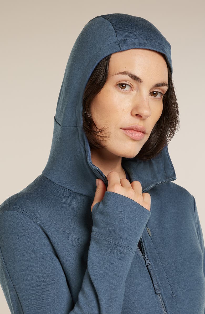 Icebreaker 260 Quantum Merino Wool Hooded Jacket, Alternate, color, Dawn