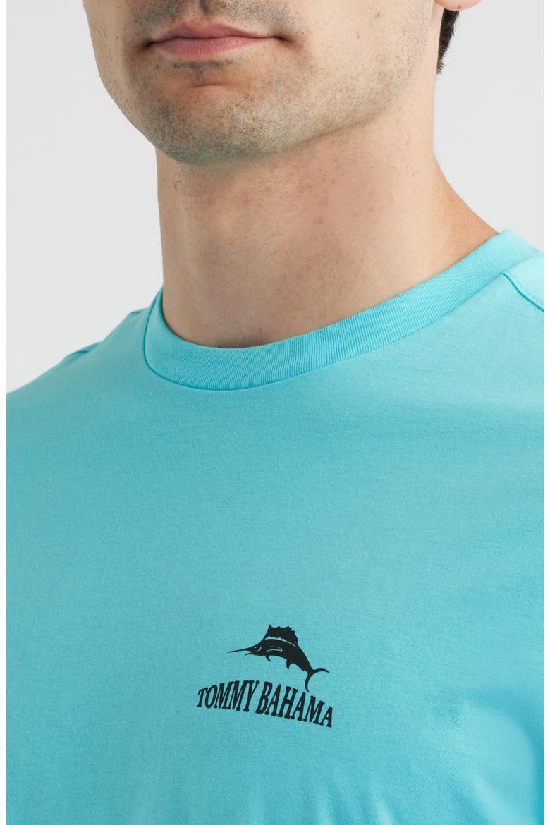 The Coast is Clear Cotton Graphic T-Shirt, Alternate, color, BLUE RADIANCE