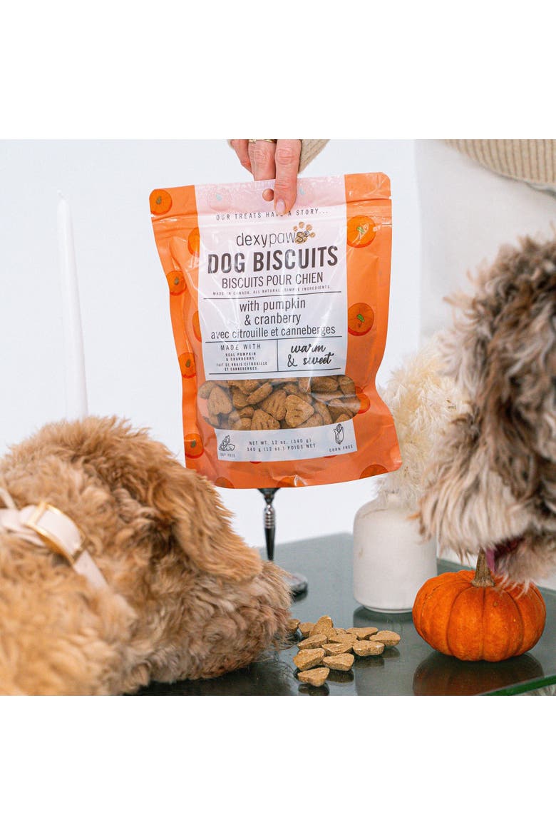 Pumpkin & Cranberry Dog Biscuits 12oz, Alternate, color, Brown