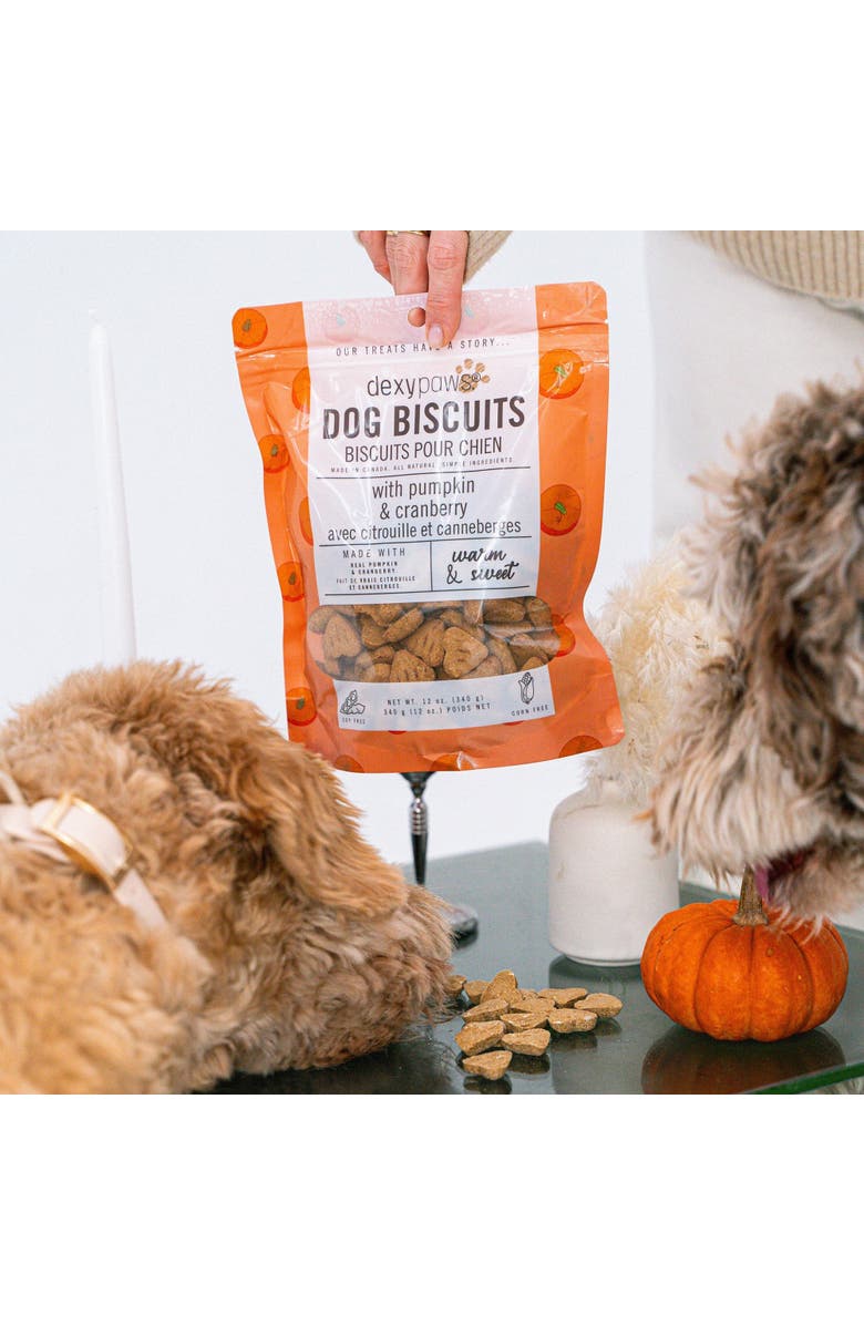 Dexypaws Pumpkin
Cranberry Dog Biscuits 12oz, Alternate, color, Brown