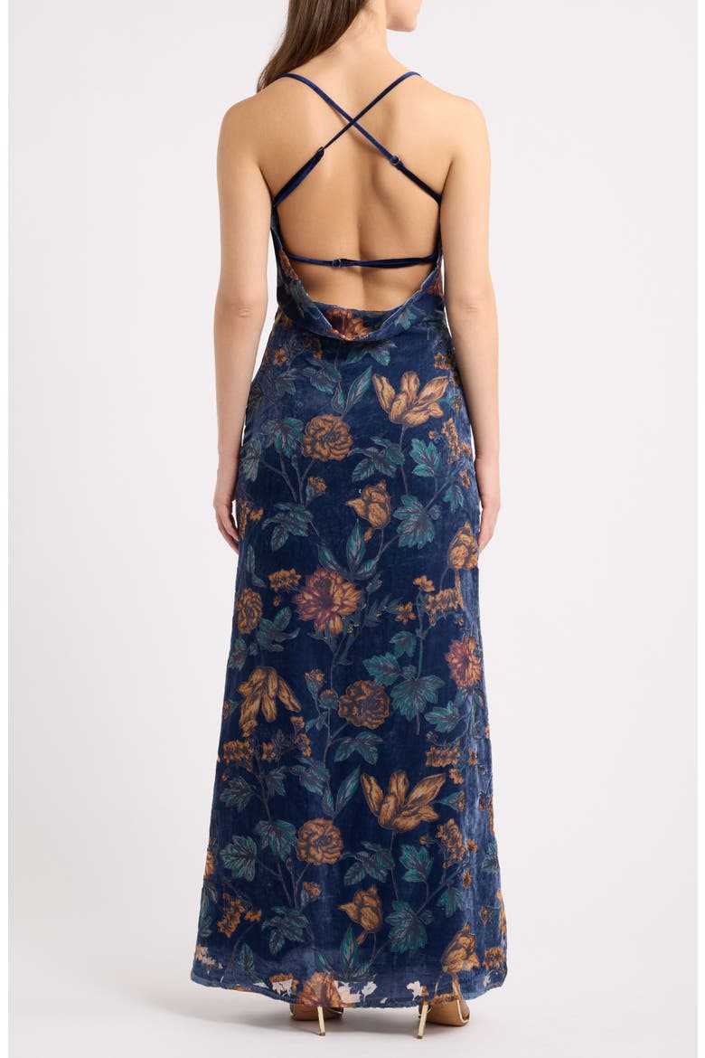 River Cowl Neck Sleeveless Velvet Gown, Alternate, color, NAVY FLORAL
