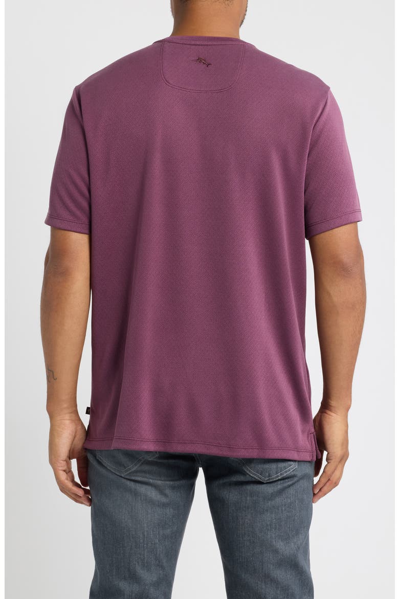 Keyport Diamond V-Neck IslandZone® T-Shirt, Alternate, color, SHADOW PLUM
